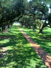 Oak Alley Plantation Louisiana
