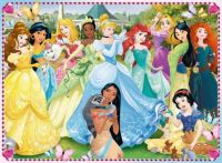 Princesses and Friends