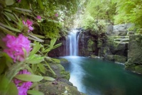 Waterfall in Jesmond Dene Park, Newcastle, UK