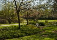 Arboretum Spring