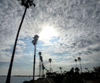 Mission Bay - Cloudy Skies and Palm Trees