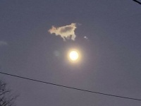 cow jumping over moon