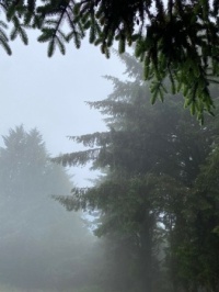 Weather on Mount Rainier