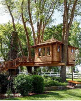 Shady Tree House