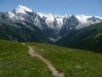 path to happiness