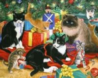 Christmas for Cats