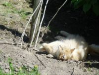 Tam byla &scaron;anta