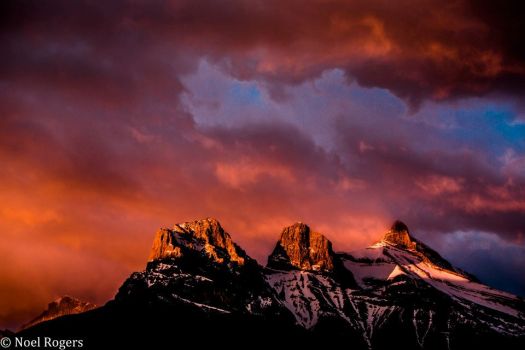 Bow Valley, Alberta, Canada by Noel Rogers
