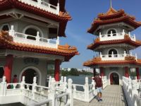 IMG_1167 (1)