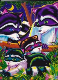 Racoon Family