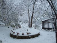 Snow in the backyard