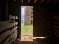 Looking out the barn doors