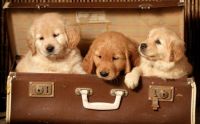 All on board