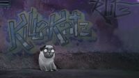 graffiti pug