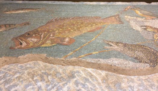 Recovered Mosaic Tiles at Empúries