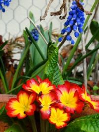 DSC00097