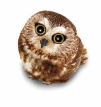 Owl from Telus commercial