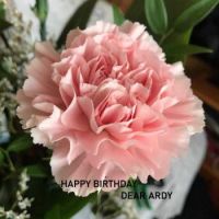 Happy Birthday, dear Ardy!