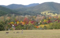 Bright, Victoria, Australia