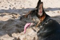 RELAX ON THE BEACH