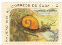 Cuba snail stamp 1