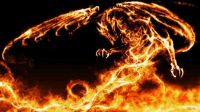 Dragon of Fire