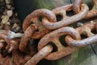 Missing Link...