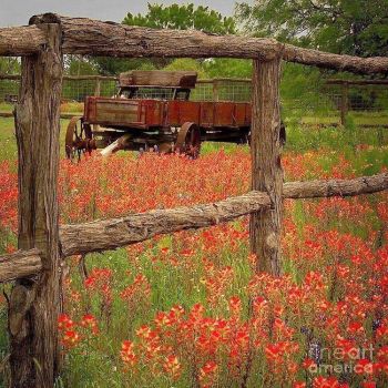 Fence, Flowers, and a Wagon!