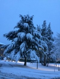 Snows of a few winters ago