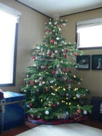 Our Tree for this year