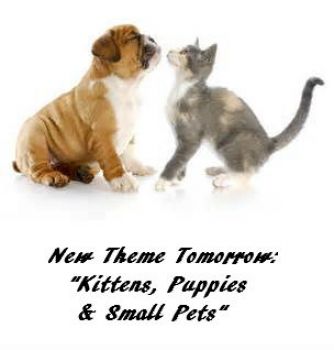 New Theme Tomorrow: "Kittens, Puppies & Small Pets"