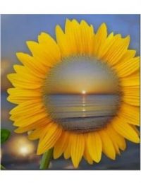 Sunflower lrg