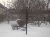 winter in the courtyard