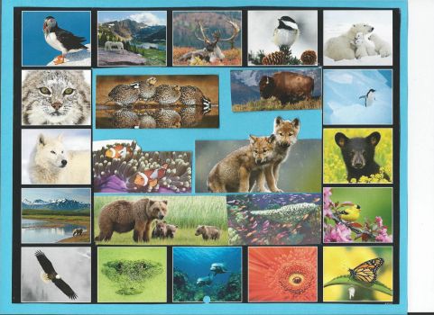 Scan0003 - Treasures of Wildlife