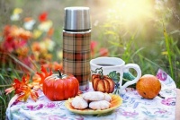 Autumn coffee picnic