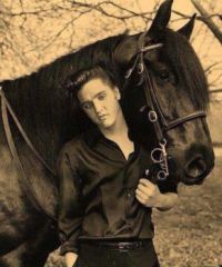 Elvis and his Tennessee Walker