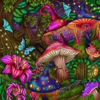 Colorful Mushrooms in Gnome Valley