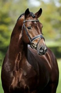 Florenciano_Portrait_Recki_05