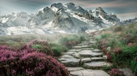 wintry mountain scene