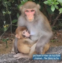 Aubrey and baby Alain
