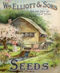 Vintage seed catalog