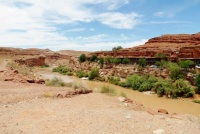 Along The San Juan River In Mexican Hat, Utah