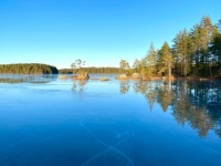 Sunny day on the ice