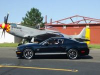 Mustang vs Mustang