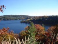 Willisville