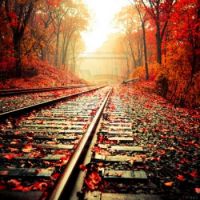 Fall Tracks