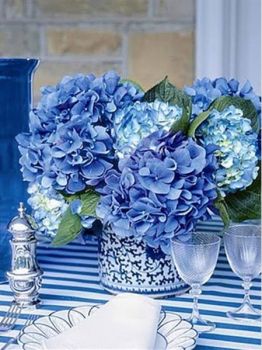 Shades of Blue on  Slice of Life