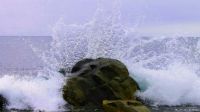 Waves & Rocks