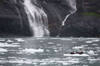 Theme: Weather & Waterfalls