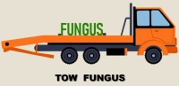 Tow Fungus